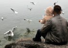 Елімізде бойдақ жігіттерге бала асырап алуға рұқсат берілмек