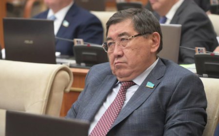 Хиджабпен күресіп жүрген депутатты улаған кім