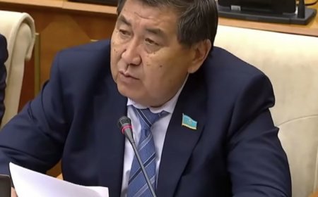«Еуропадан шақыру күтіп отырмын»: Депутат денсаулығы жайлы ақпаратқа пікір білдірді