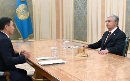 Артаевтың сұхбатынан кейін президент Головкинді қабылдады
