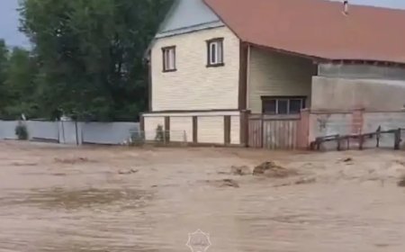 Алматы облысында сел жүріп, үйлерді су басты