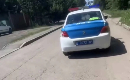 «Қызметтік көлікке отыруды ұсынған»: Астанада полицейлер қызға тиісті деп айыпталды