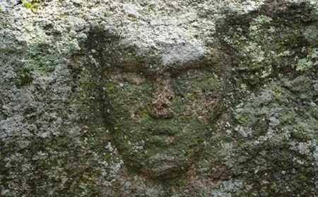 «Қола дәуіріне тән»: Сандықтау ауданында адамның беті бейнеленген тас табылды