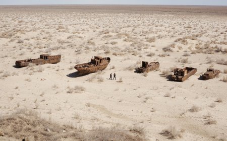 Қытай Аралдың құрғап қалған танабына орман егеді