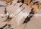 Бір тәулікте 917 жер сілкінісі тіркелген