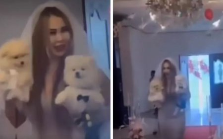 Ақтау тұрғыны екі иттің үйлену тойын жасаған