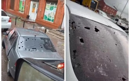 «10 пайызы ғана өтемақы талап ете алады»: Астанада бұршақ зақымдаған көлік иелері шығынды кімнен өндірерін білмей отыр