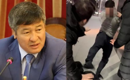 Қылмыстық-атқару жүйесi комитетi көше кезіп жүрген Тұрлыхановтың ұлына қатысты мәлімдеме жасады