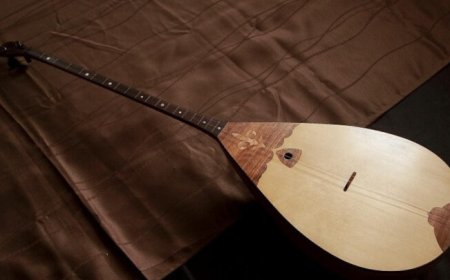 «Ұшаққа домбыра алып кірсеңіз, ақша төлеуге міндеттісіз» - әуе компаниясы