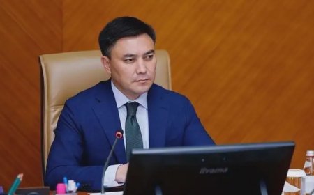 «Ата-анаңа бас ием сені тапқан»: Шымкент әкіміне тұрғындардың бірі өлең арнады