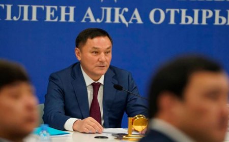 «Жағдай жасадық, алайда нәтиже нашар болып шықты»: Спорт министрі Париж Олимпиадасы туралы айтты