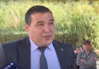 Төле би ауданындағы директор: мұғалімдердің 80 пайызы – менің қарындастарым