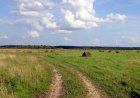 Ақмола облысындағы кәсіпорынның халі мүшкіл: Жер көлемі екі есе азайған