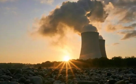 Қазақстанда АЭС бойынша референдумға 15,5 млрд теңге жұмсалатын болды