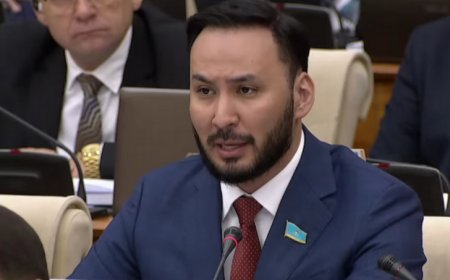 «Елдегі жағдай мәз емес»: Депутат сөзді қойып жұмыс істеу керегін айтты