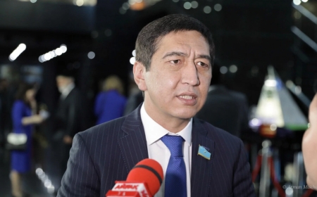 Мемлекеттік тілде қызмет көрсетуді міндеттеу керек – Ринат Зайытов