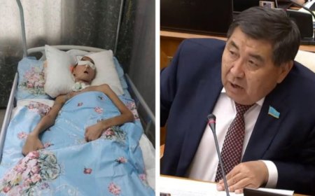 «Мысқылдай күліп, мазақ етіп тұр»: Ербаян туралы пікір білдірген Ермұрат Бапи сынға қалды