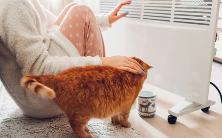 Астанаға жылу қашан беріледі?