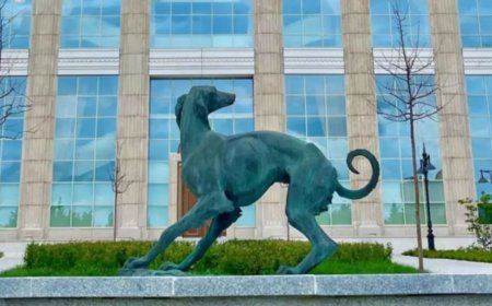 Ақорда маңында ерекше мүсін пайда болды