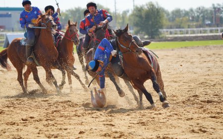 V Дүниежүзілік көшпенділер ойындары: 11 қыркүйекке арналған сайыстар кестесі