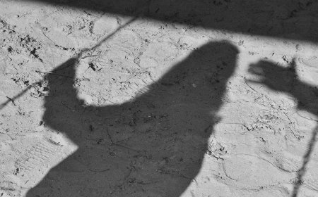 Шұғыл! Түркістанда мұғалім өз оқушысын зорлап, анасымен бірге өлтіріп кетті