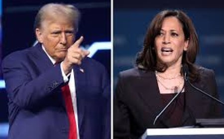 Дональд Трамп өзіне жасалған шабуылға Харристі айыптады