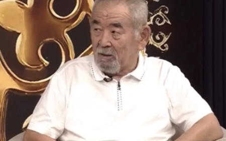 «Көреалмаушылық жатыр»: Жүрсін Ерман Дулат Исабековке шүйлікті