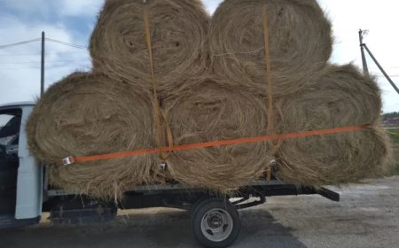 Көмір мен шөпті енді жәрмеңкеден сатып аласыз