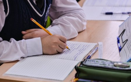 Солтүстік Қазақстанда үй тапсырмасын орындамаған оқушыны анасы пышақтап тастады