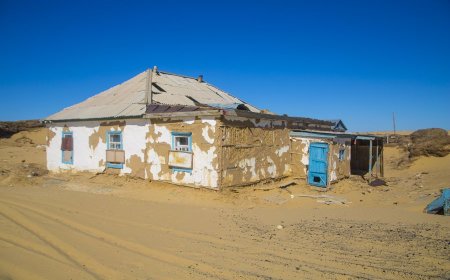 Солтүстік Қазақстанда тағы 141 ауыл жабылады