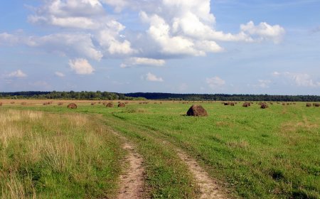 Ақмола облысындағы кәсіпорынның халі мүшкіл: Жер көлемі екі есе азайған