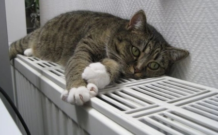 Астанада жылу беріле бастады