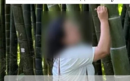 «Асланбек + Гүлайым». Атыраулық әйел Батумиде сирек кездесетін бамбукке есімін жазып кеткен