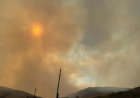 Баянауылдағы алапат өрт 6 мың гектар аумақты шарпыды