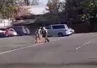 Көлігін, сосын өзін өртеп жіберген алматылық көз жұмды
