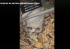 Өскеменде зират маңынан адамның бас сүйегі табылды
