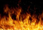 Оқу-ағарту министрлігі Жітіқарадағы 5 баланың өлімін ата-анасының өзіне аудара салды