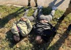 Қостанайда екі шетелдік алаяқ қылмыс үстінде ұсталды