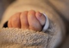 Алматыда қараусыз қалған ғимараттан жаңа туған сәбидің денесі табылды