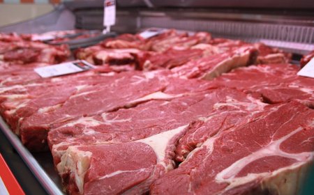 Елорда базарында тексеруден өтпеген ет сатылған