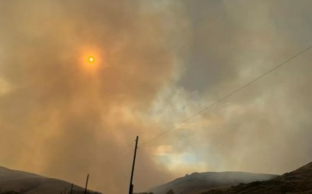 Баянауылдағы алапат өрт 6 мың гектар аумақты шарпыды