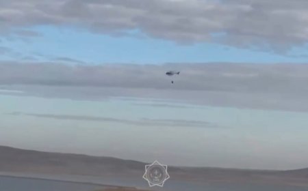 Қарағанды мен Павлодар облыстарындағы өрттің жалпы ауданы 45 мың гектарға жетті