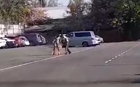 Көлігін, сосын өзін өртеп жіберген алматылық көз жұмды