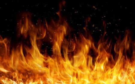 Талғарда қылмыскерлердің қолынан көз жұмған Шерзат Болаттың үйі өртеніп кетті