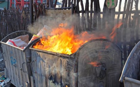 Семейде сәбиді қоқыс жәшігіне салып, өртеп жіберген