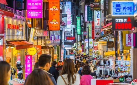 «Ебін тауып, елдеріңе шақырыңдар»: Оңтүстік Корея заңсыз жұмыс істеп жүрген 15 мың қазақстандықты қайтаруды талап етті