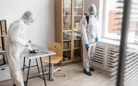 Ақмола облысында балабақшалардың бірінде бүрге қаптады