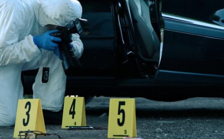 «Ешқандай қауіп жоқ»: Министрлік Қазақстанда адам өлтіру неге жиілеп кеткенін түсіндірді