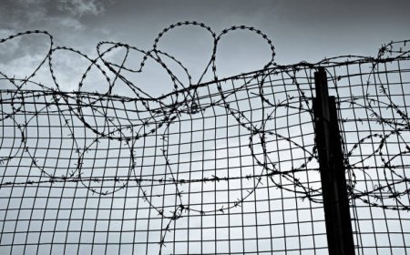 Алматы облысында изолятордан күдікті қашып кетті