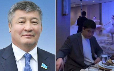 «Үрейде өмір сүр де Алладан жазаңды күт»: депутат Тұрлыхановтың қызы адвокатқа сес көрсетті